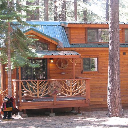 סאות' לייק טאהו Cedar Pines Resort מראה חיצוני תמונה